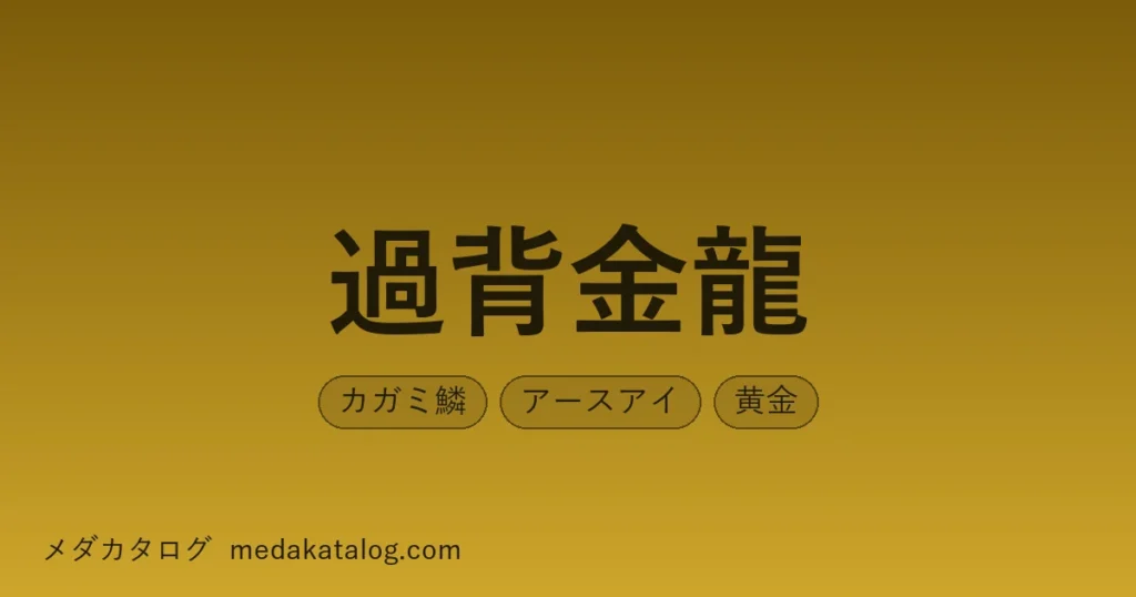 過背金龍のアイキャッチ画像