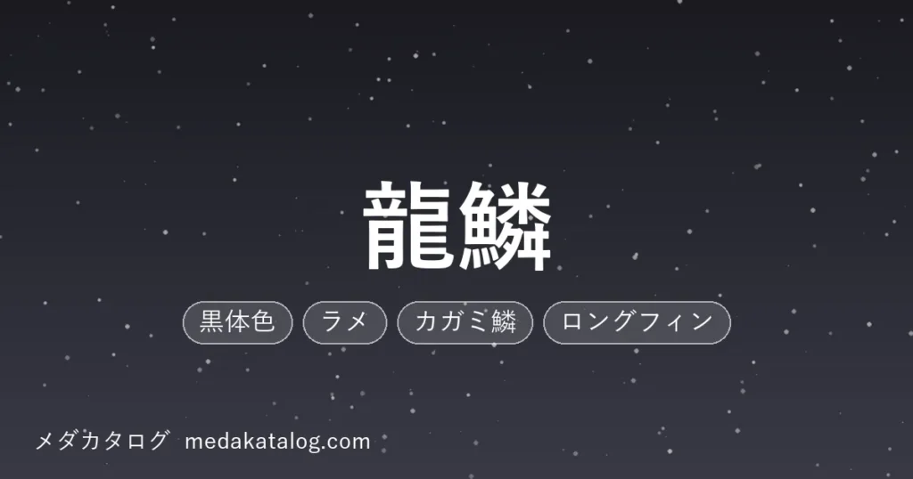 龍鱗のアイキャッチ画像