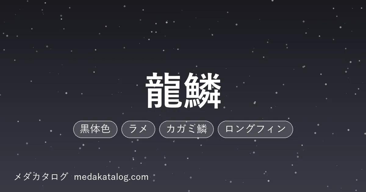 龍鱗のアイキャッチ画像