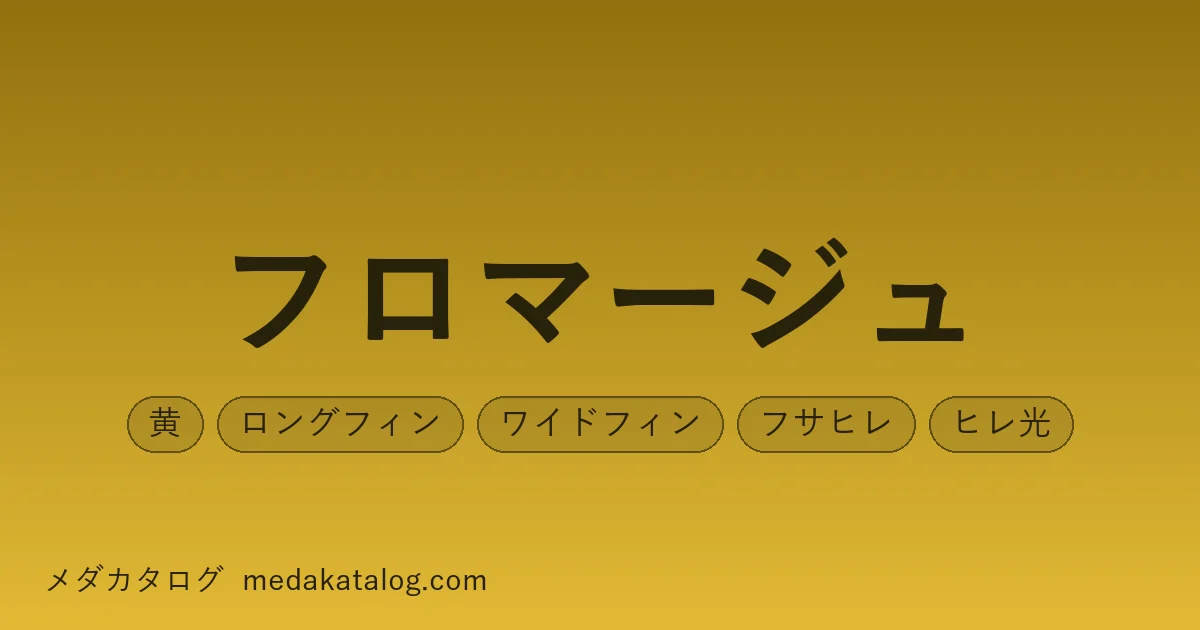 fromage のアイキャッチ画像