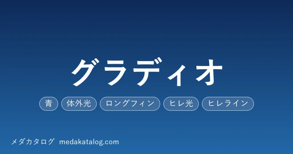 グラディオのアイキャッチ画像