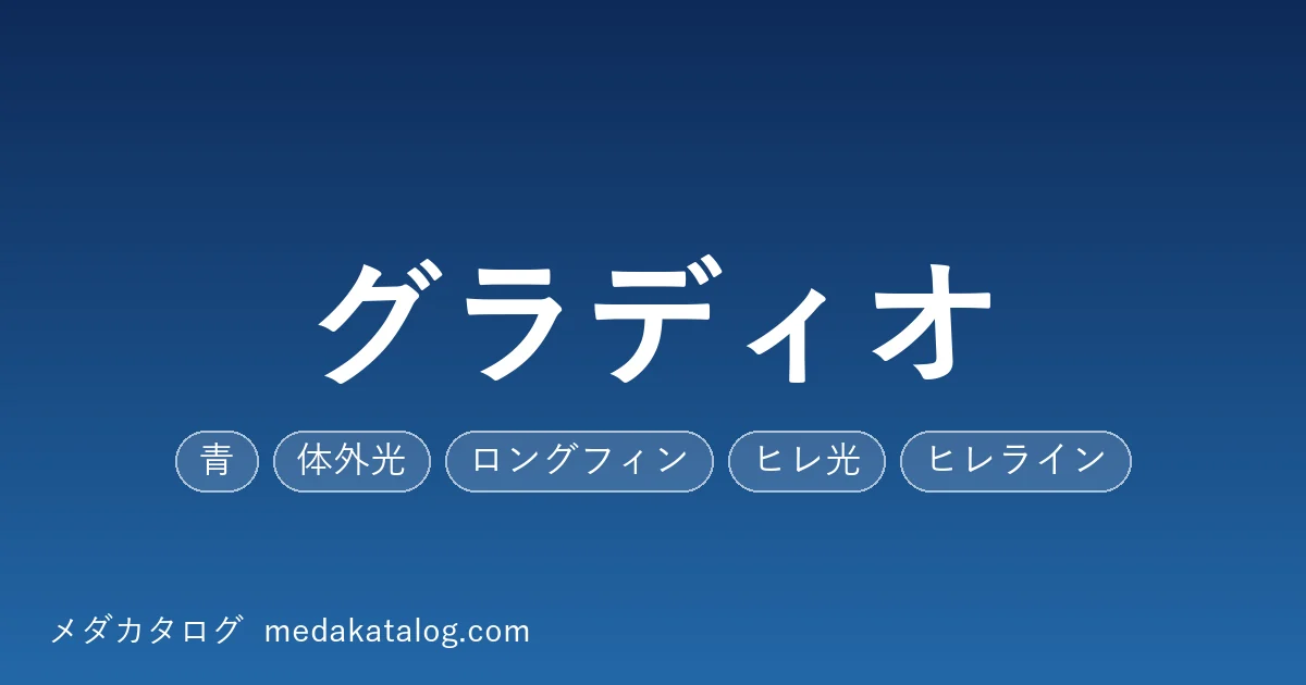 グラディオのアイキャッチ画像