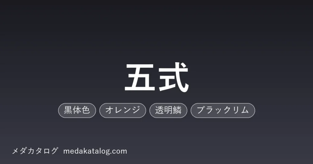 五式とはのアイキャッチ画像