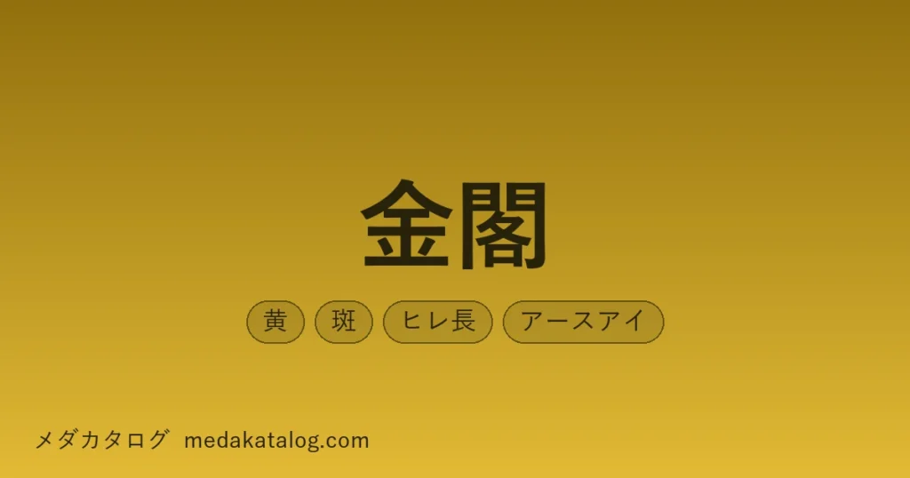 金閣のアイキャッチ画像。金色の背景に品種名と、黄・斑・ヒレ長・アースアイの形質ラベル