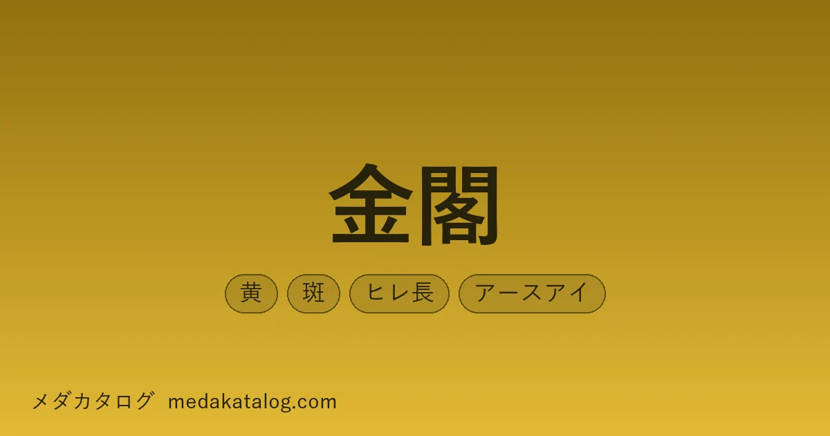 金閣のアイキャッチ画像。金色の背景に品種名と、黄・斑・ヒレ長・アースアイの形質ラベル