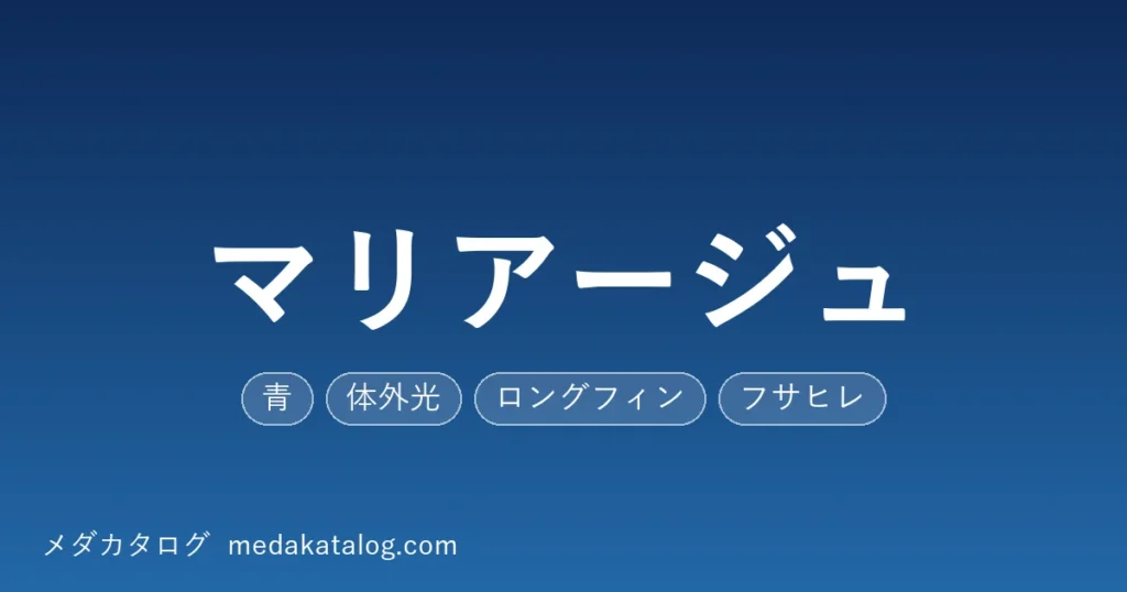 mariage のアイキャッチ画像