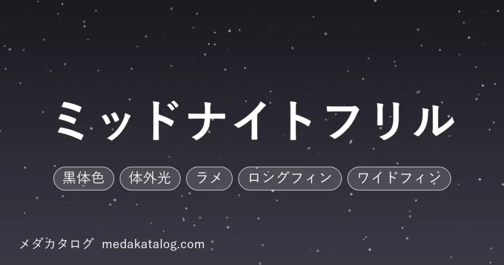 ミッドナイトフリルとはのアイキャッチ画像