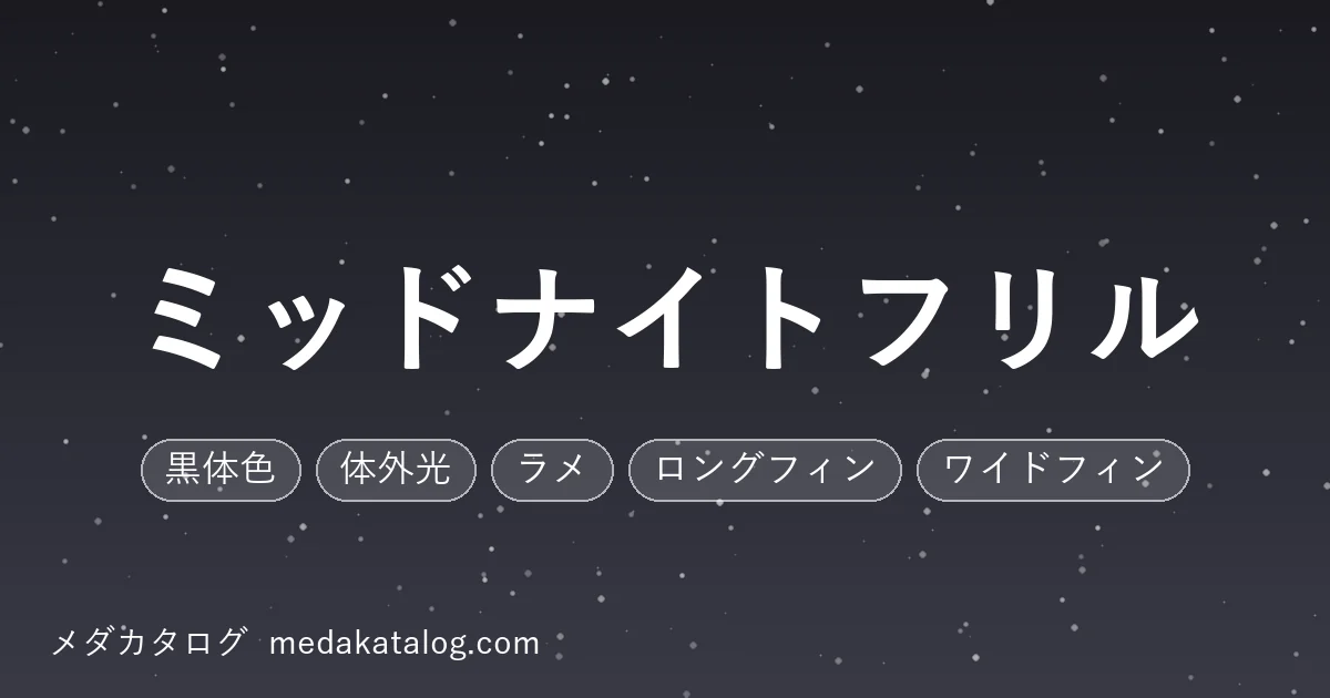 ミッドナイトフリルとはのアイキャッチ画像