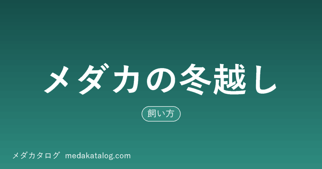 メダカの冬越しの記事のアイキャッチ画像。深緑の背景に記事タイトルと「飼い方」の形質ラベル