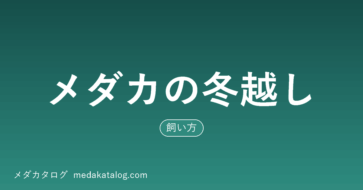 メダカの冬越しの記事のアイキャッチ画像。深緑の背景に記事タイトルと「飼い方」の形質ラベル