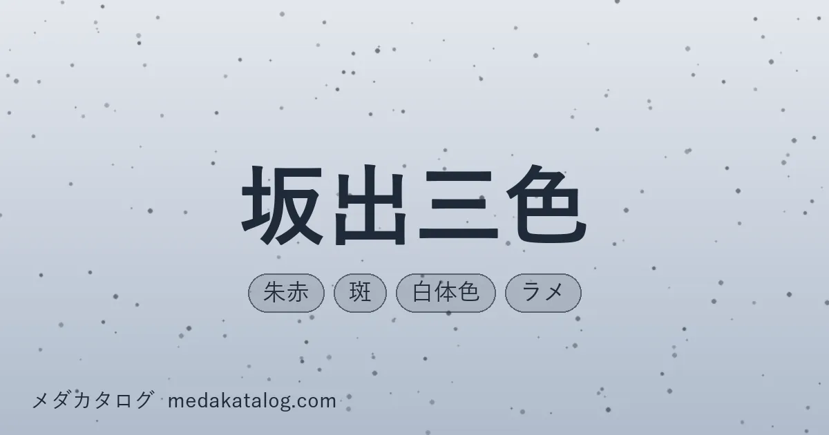 坂出三色のアイキャッチ画像