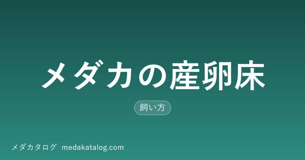 メダカの産卵床の記事のアイキャッチ画像。深緑の背景に記事タイトルと「飼い方」の形質ラベル