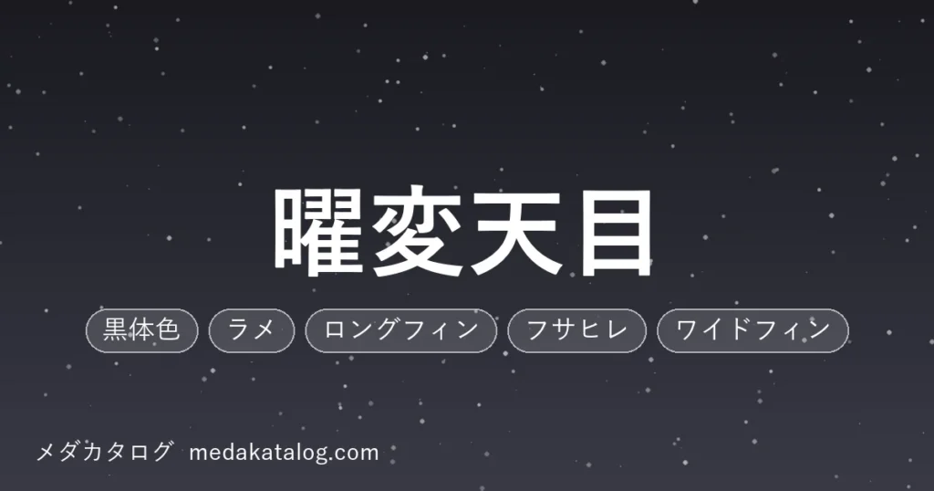 曜変天目のアイキャッチ画像