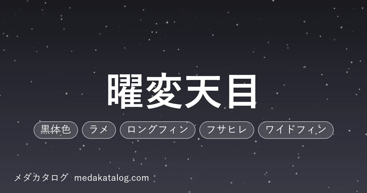 曜変天目のアイキャッチ画像