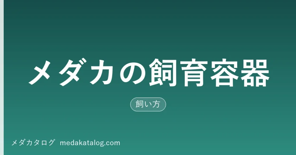 メダカの飼育容器の選び方｜水量と置き場所で選ぶ5種類の比較（メダカタログ）