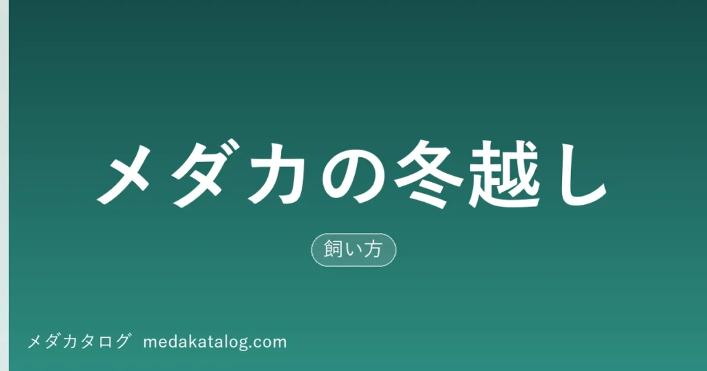 メダカの冬越し｜屋外で越冬させる4つの支度とやってはいけないこと（メダカタログ）