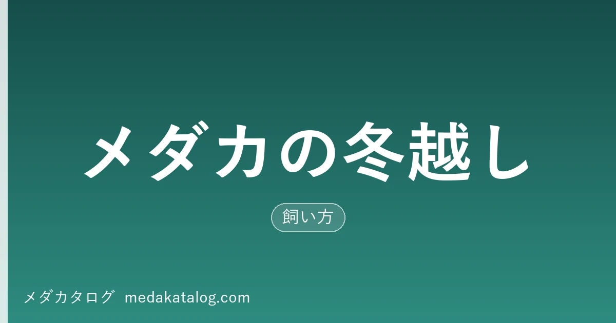 メダカの冬越し|屋外で越冬させる4つの支度とやってはいけないこと(メダカタログ)