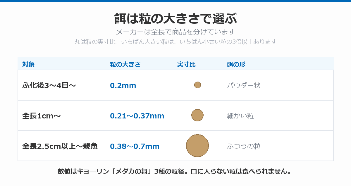 メダカの餌の粒の大きさを成長段階ごとに比べた表。ふ化後3〜4日は0.2mmのパウダー状、全長1cmから0.21〜0.37mmの細かい粒、全長2.5cm以上は0.38〜0.7mmのふつうの粒