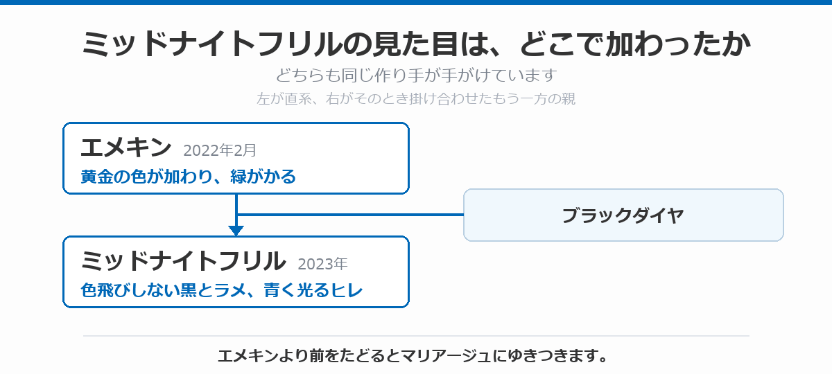 ミッドナイトフリルの見た目がどこで加わったかを示した図。2022年2月のエメキンで黄金の色が加わって緑がかり、そこにブラックダイヤを掛け合わせた2023年のミッドナイトフリルで、色飛びしない黒とラメ、青く光るヒレが加わったことを示している