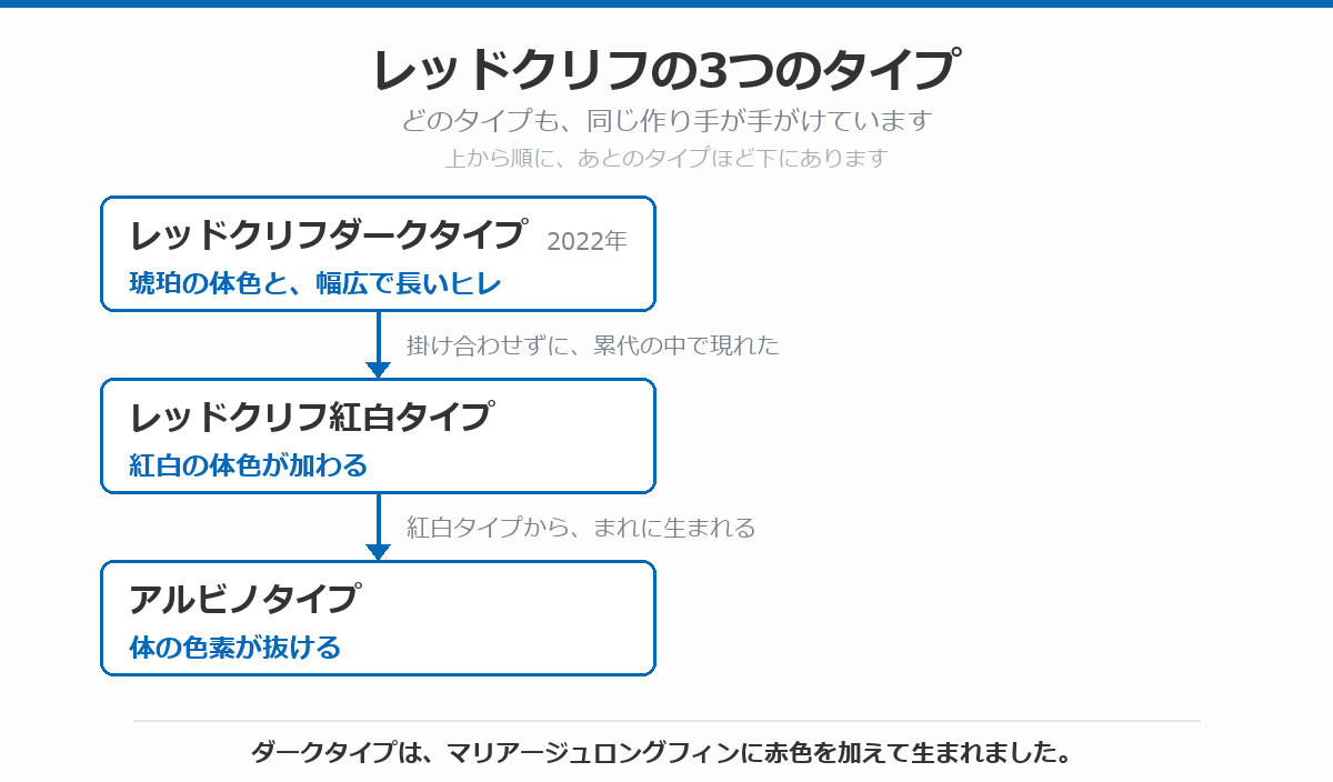 レッドクリフの3つのタイプを示した図。2022年のレッドクリフダークタイプで琥珀の体色と幅広で長いヒレがそろい、掛け合わせずに累代の中で現れたレッドクリフ紅白タイプで紅白の体色が加わり、紅白タイプからまれに生まれるアルビノタイプで体の色素が抜けることを示している