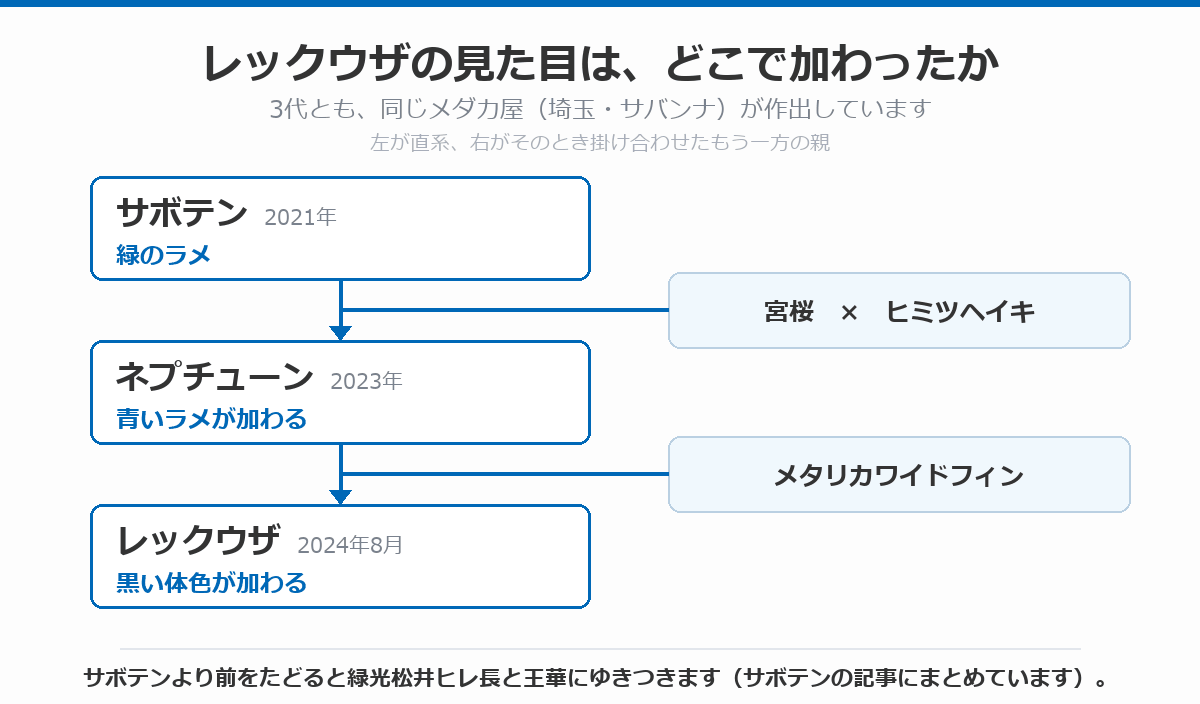レックウザの見た目がどこで加わったかを示した図。2021年のサボテンで緑のラメ、2023年のネプチューンで青いラメ、2024年8月のレックウザで黒い体色が加わったことを、掛け合わせた相手とあわせて示している