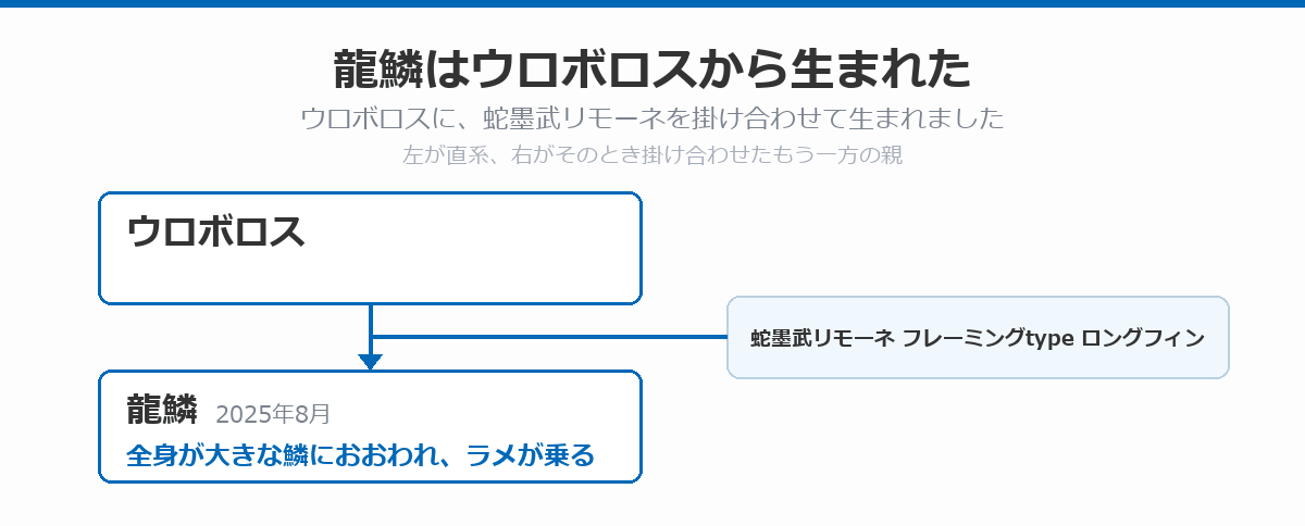 龍鱗の血統図。ウロボロスに蛇墨武リモーネのフレーミングtypeロングフィンを掛け合わせた龍鱗が、2025年8月に発表されたことを示している。龍鱗は全身が大きな鱗におおわれ、ラメが乗る