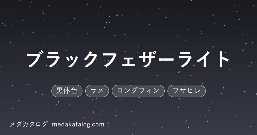 ブラックフェザーライトとはのアイキャッチ画像