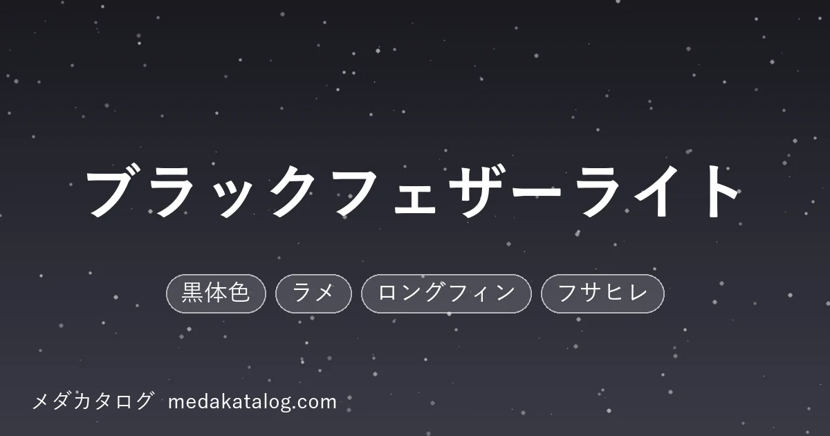 ブラックフェザーライトとはのアイキャッチ画像