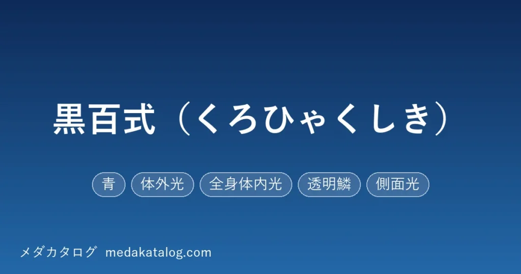 黒百式（くろひゃくしき）のアイキャッチ。青・体外光・全身体内光・透明鱗・側面光のラベル付き