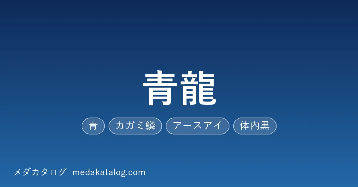 青龍とはのアイキャッチ画像