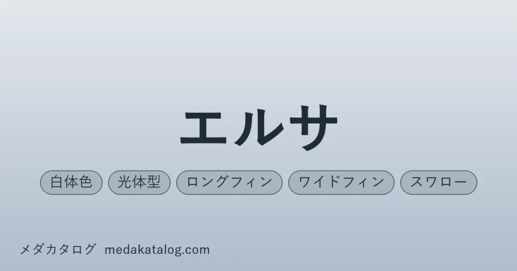 エルサとはのアイキャッチ画像