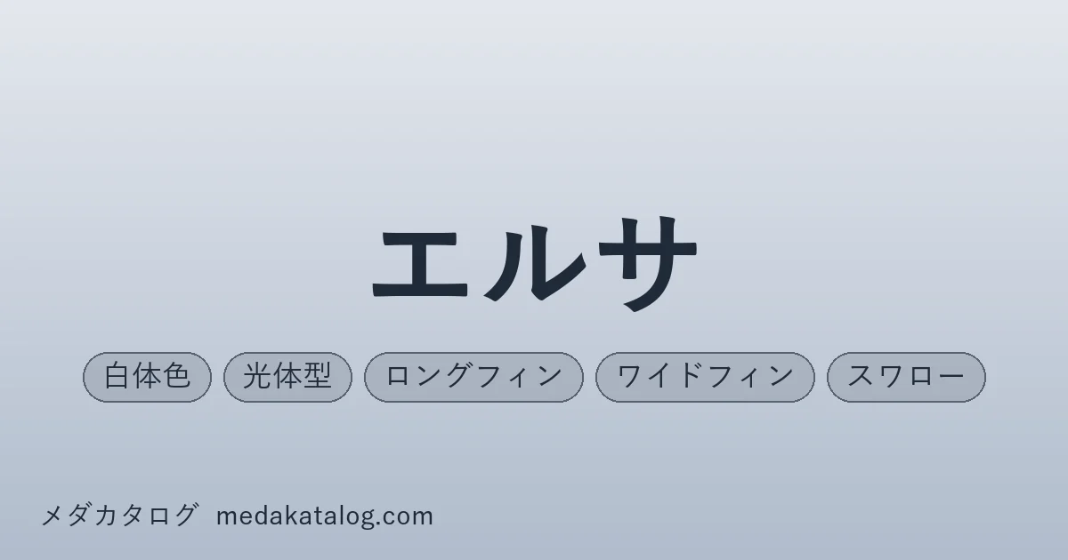 エルサとはのアイキャッチ画像