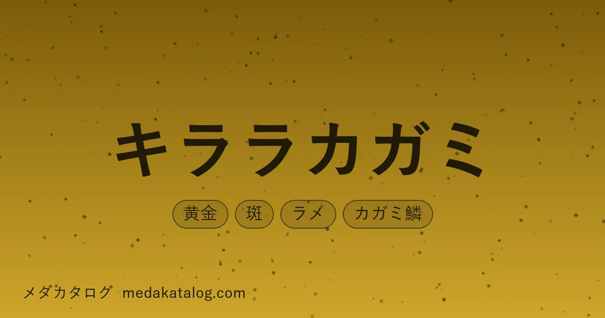 キララカガミとはのアイキャッチ画像