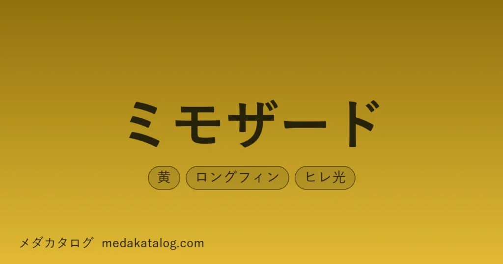 ミモザードとはのアイキャッチ画像