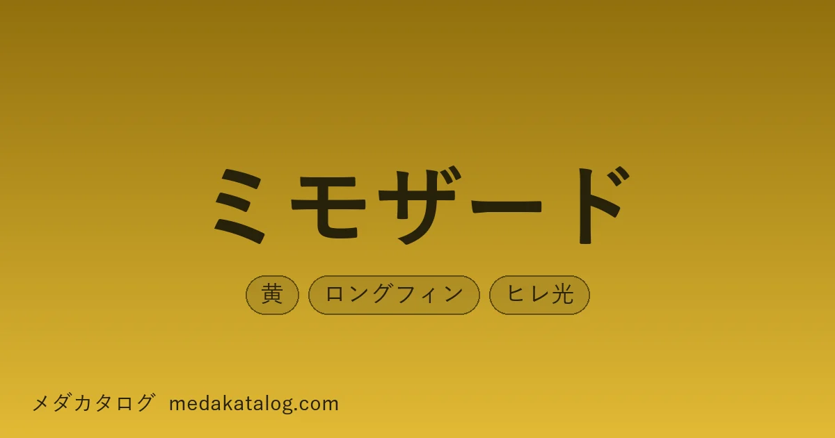 ミモザードとはのアイキャッチ画像