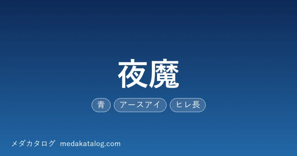 夜魔とはのアイキャッチ画像