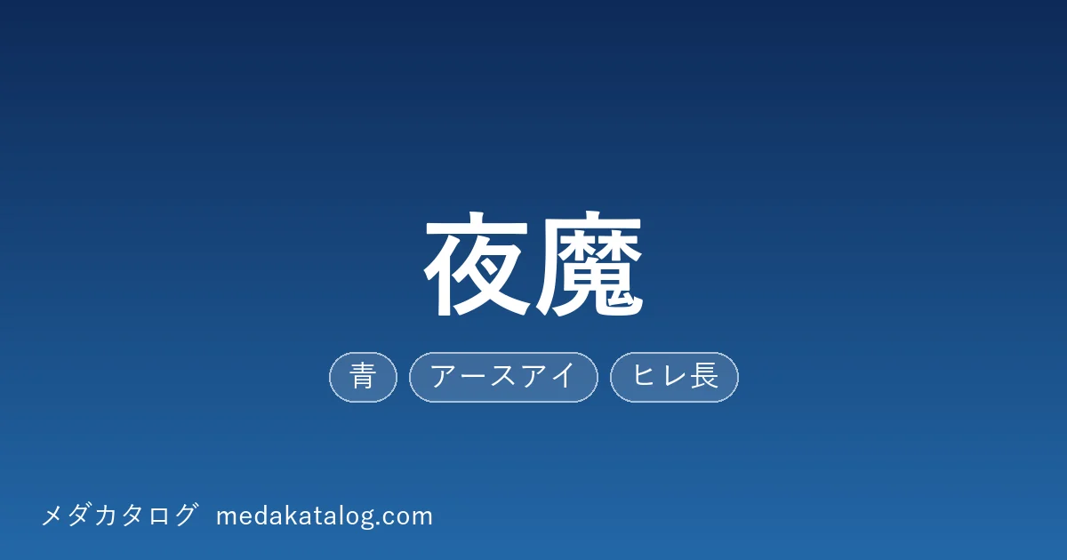 夜魔とはのアイキャッチ画像