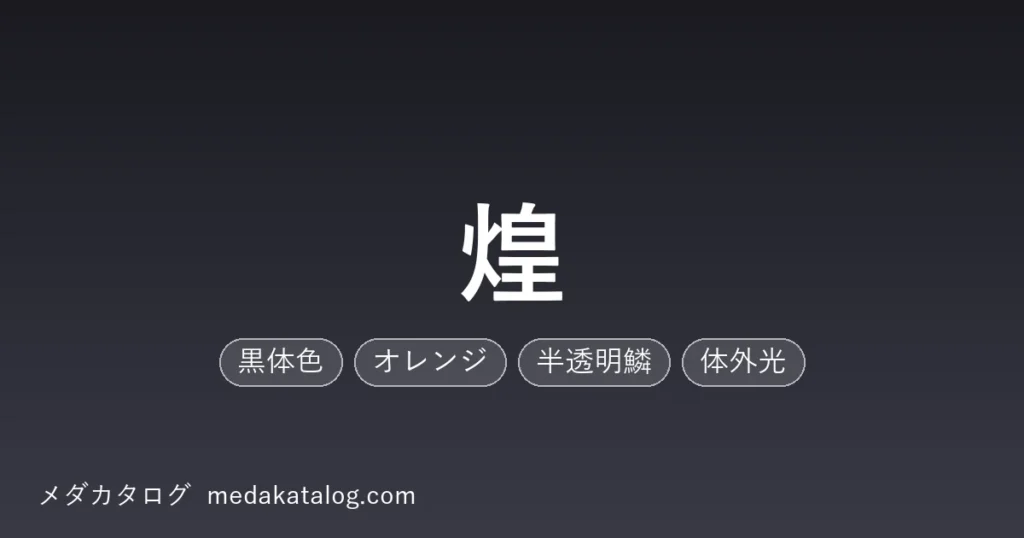 煌とはのアイキャッチ画像