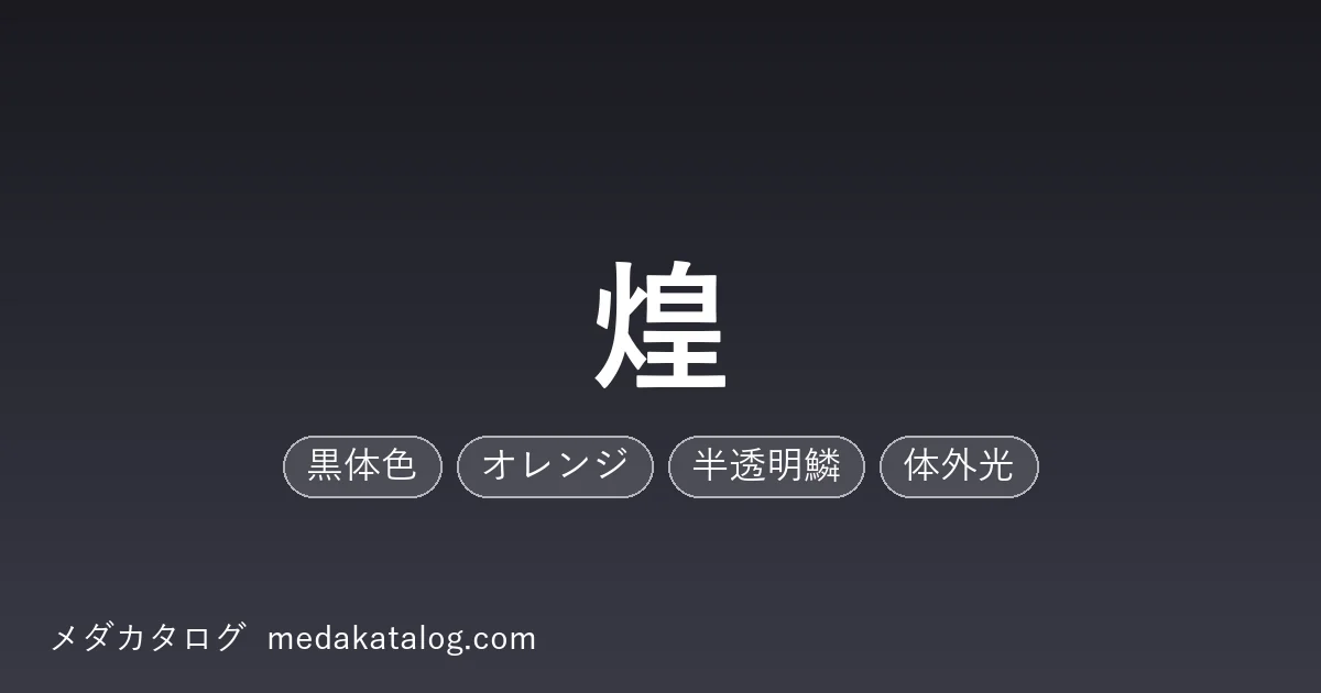 煌とはのアイキャッチ画像
