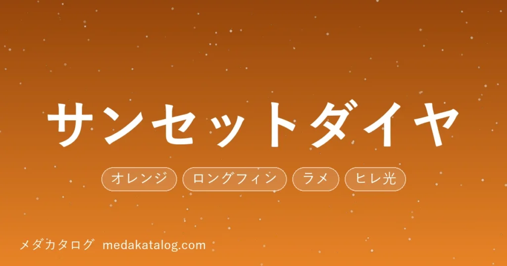 サンセットダイヤとはのアイキャッチ画像