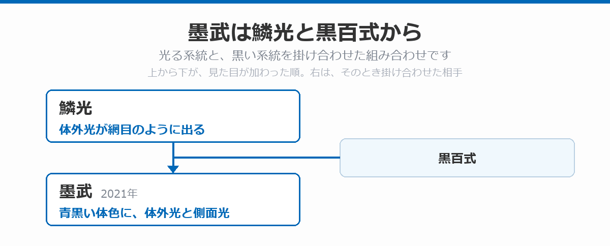 墨武の血統図。体外光が網目のように出る鱗光に黒百式を掛け合わせて、青黒い体色に体外光と側面光を持つ墨武が2021年に生まれた流れを、上から下へ矢印で示している