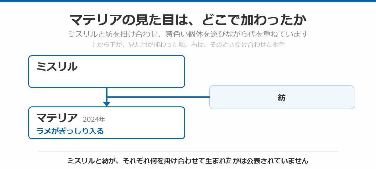 マテリアの血統図。ミスリルに紡を掛け合わせて、ラメがぎっしり入るマテリア(2024年)が生まれた流れを、上から下へ矢印で示している。ミスリルと紡が、それぞれ何を掛け合わせて生まれたかは公表されていないことを注記している
