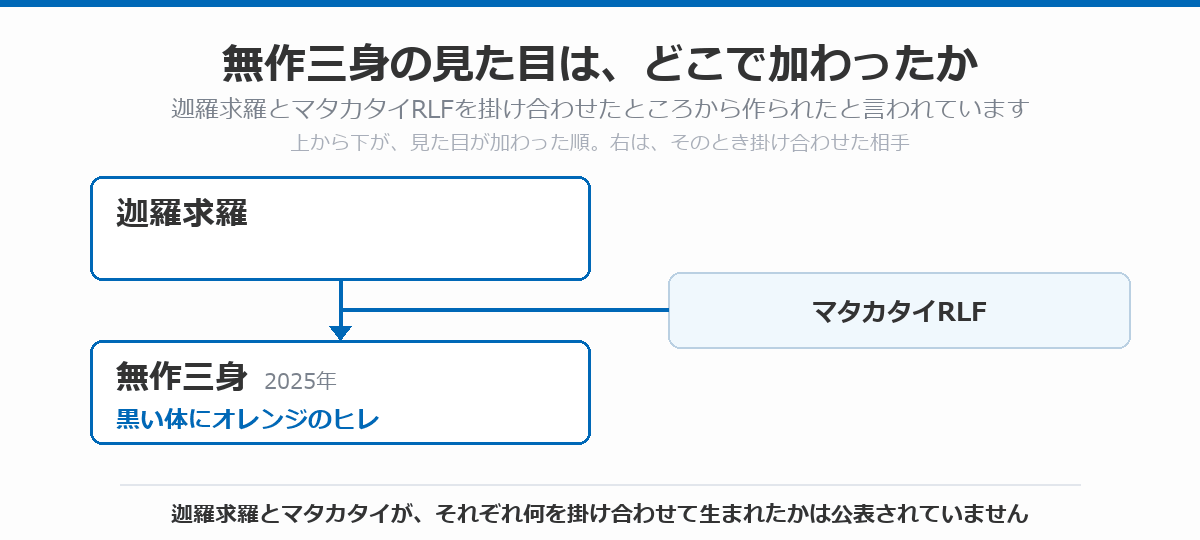 無作三身の血統図。迦羅求羅にマタカタイRLFを掛け合わせたところから、黒い体にオレンジのヒレを持つ無作三身（2025年）が作られた流れを、上から下へ矢印で示している。迦羅求羅とマタカタイが、それぞれ何を掛け合わせて生まれたかは公表されていないことを注記している