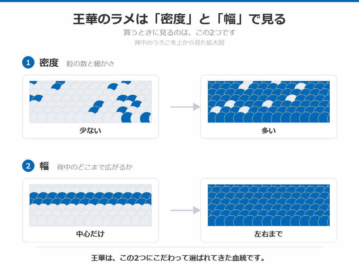 王華のラメを見る2つの軸を示した図。背中のうろこを上から見た拡大図で、ラメが少ない状態と多い状態(密度)、背中の中心だけに乗る状態と左右まで広がる状態(幅)を並べている