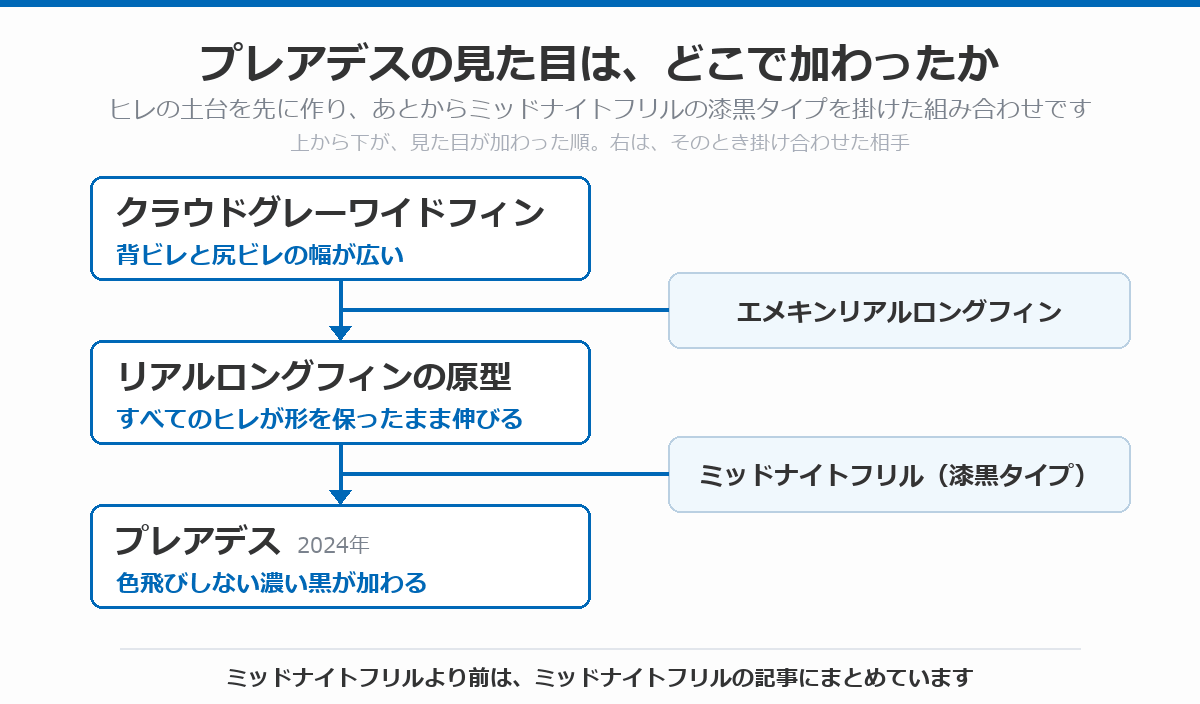 プレアデスの血統図。背ビレと尻ビレの幅が広いクラウドグレーワイドフィンにエメキンリアルロングフィンを掛けて、すべてのヒレが形を保ったまま伸びる原型ができ、それにミッドナイトフリルの漆黒タイプを掛けて、色飛びしない濃い黒が加わったプレアデス(2024年)に至る流れを、上から下へ矢印で示している