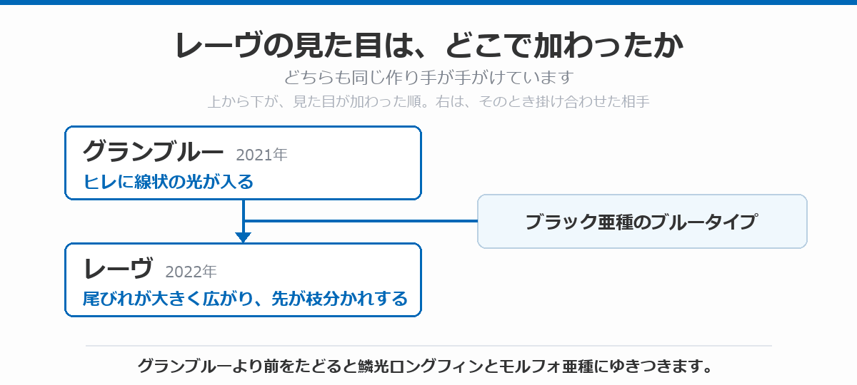 レーヴの見た目がどこで加わったかを示した図。2021年のグランブルーでヒレに線状の光が入り、2022年のレーヴで尾びれが大きく広がり先が枝分かれしたことを、掛け合わせた相手のブラック亜種のブルータイプとあわせて示している