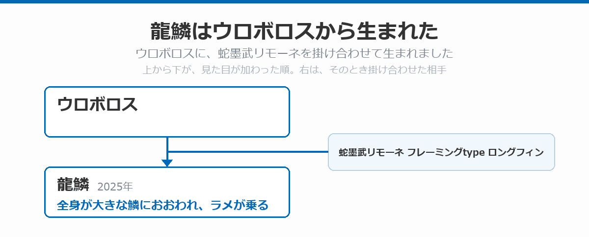 龍鱗の血統図。ウロボロスに蛇墨武リモーネのフレーミングtypeロングフィンを掛け合わせた龍鱗が、2025年に発表されたことを示している。龍鱗は全身が大きな鱗におおわれ、ラメが乗る