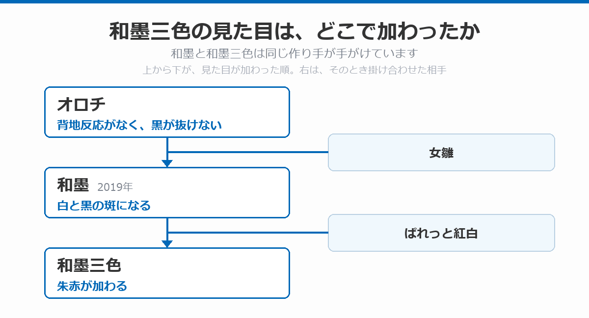 和墨三色の見た目がどこで加わったかを示した図。背地反応がなく黒が抜けないオロチに女雛を掛けて2019年に和墨が生まれ、その和墨にぱれっと紅白を掛けて朱赤が加わったのが和墨三色であることを示している