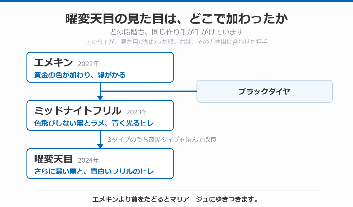 曜変天目の見た目がどこで加わったかを示した図。2022年のエメキンで黄金の色が加わって緑がかり、ブラックダイヤを掛け合わせた2023年のミッドナイトフリルで色飛びしない黒とラメ、青く光るヒレが加わり、その3タイプのうち漆黒タイプを選んで改良した2024年の曜変天目で、さらに濃い黒と青白いフリルのヒレになったことを示している