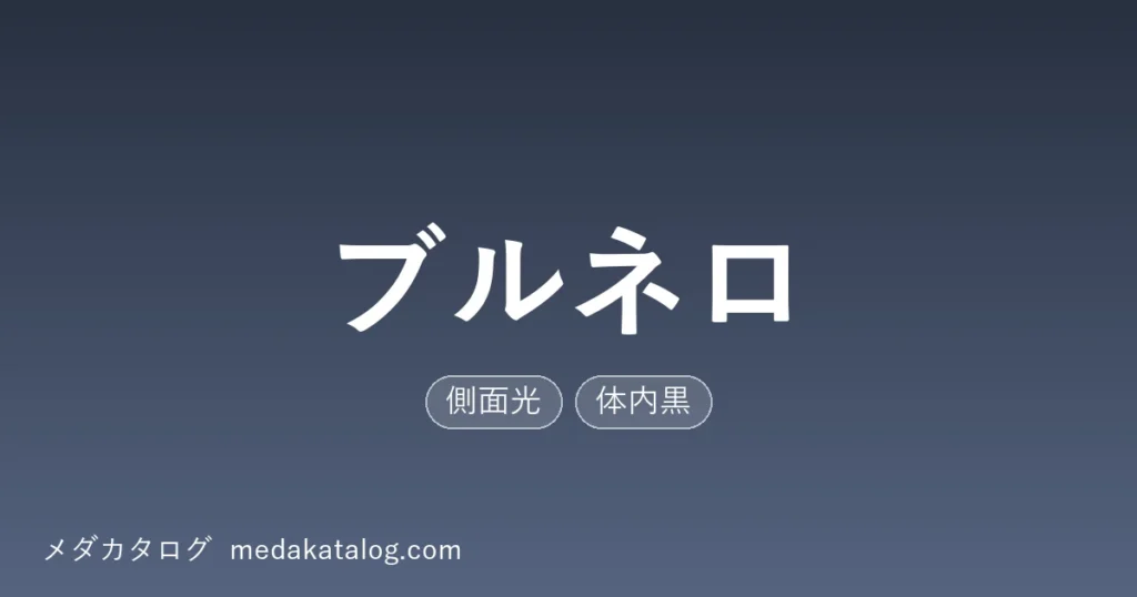 ブルネロとはのアイキャッチ画像